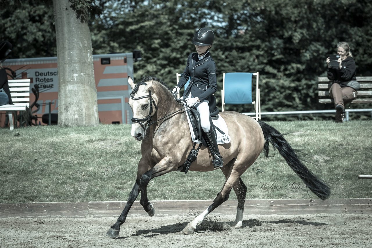 Bild 416 - Pony Akademie Turnier